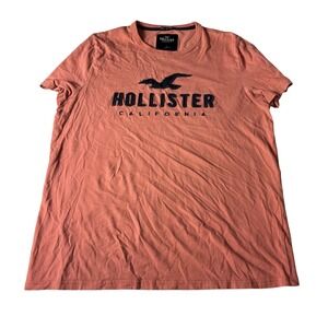 Hollister California Men's T-Shirt Large Crew Neck Short Sleeve Top